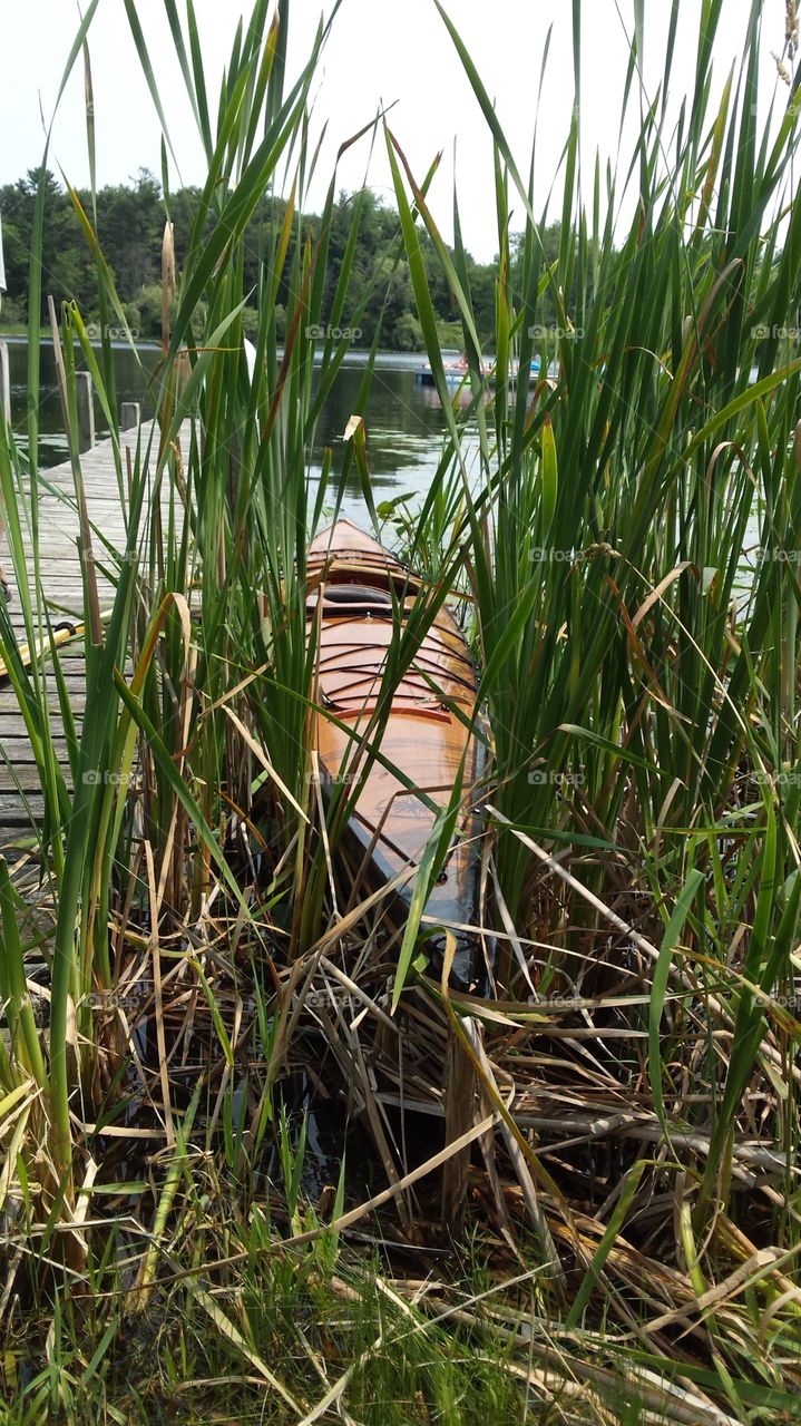 kayak in the reeds. beautiful wooden kayak resting in the reeds on a private lake.