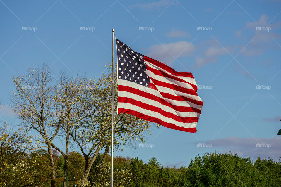 American Flag waving in the wind 