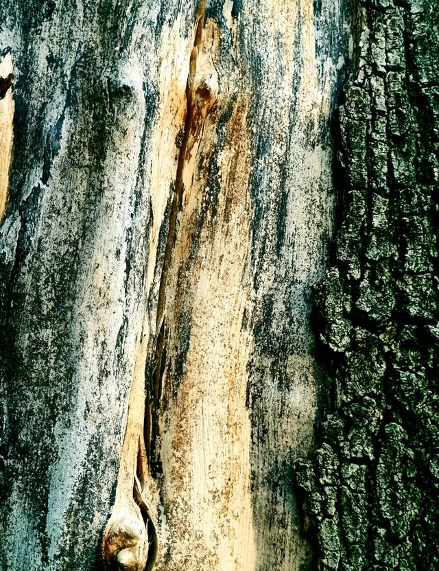texture