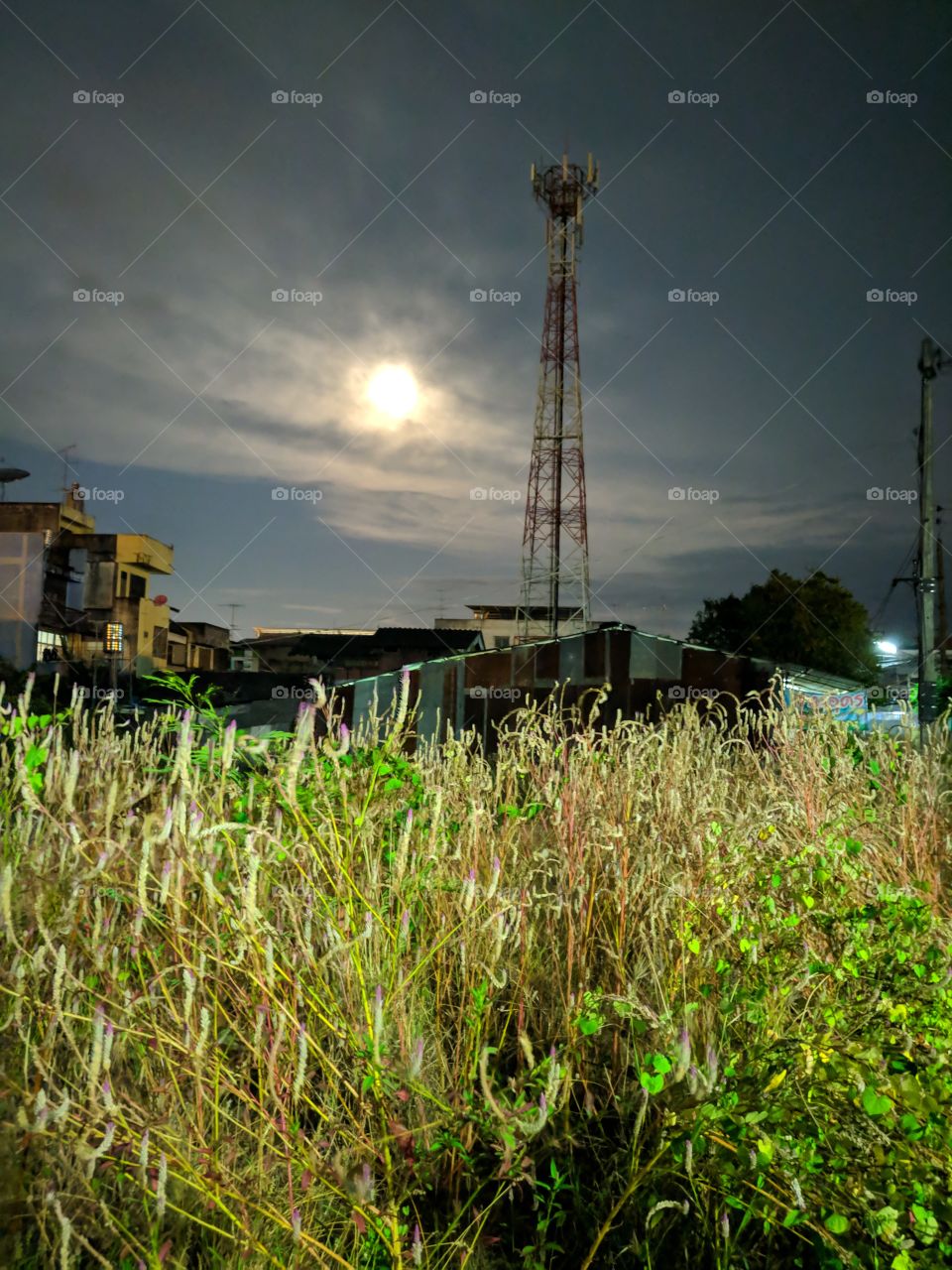 Full moon with grasses in the night. Mobile pole contrast with the sky.