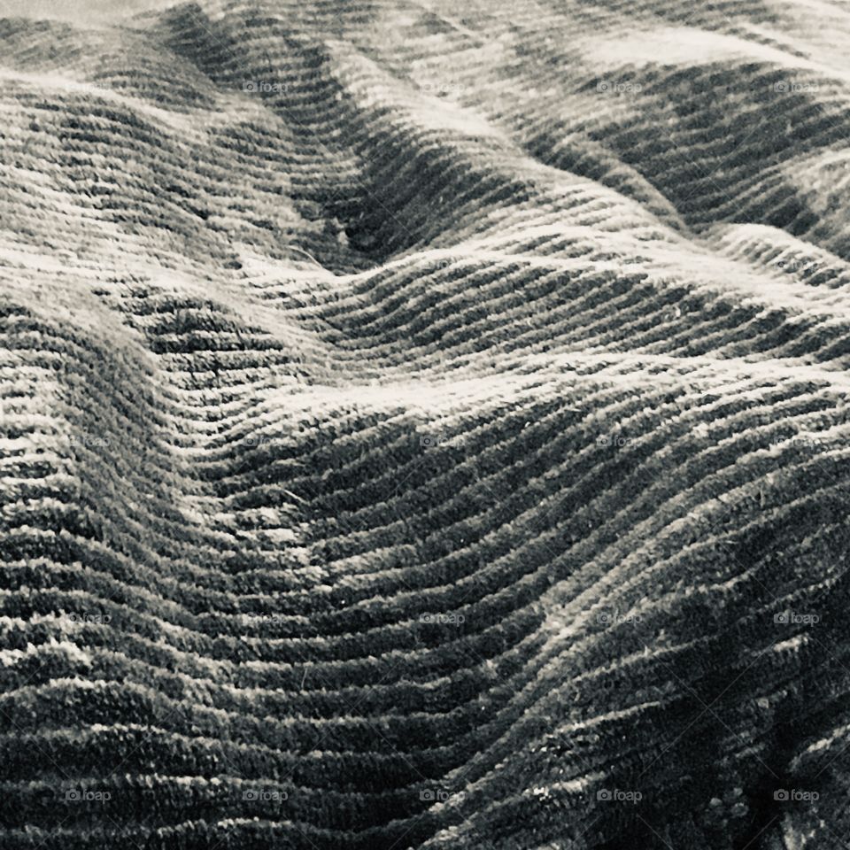 Rolling hills of textured lines in silvertone