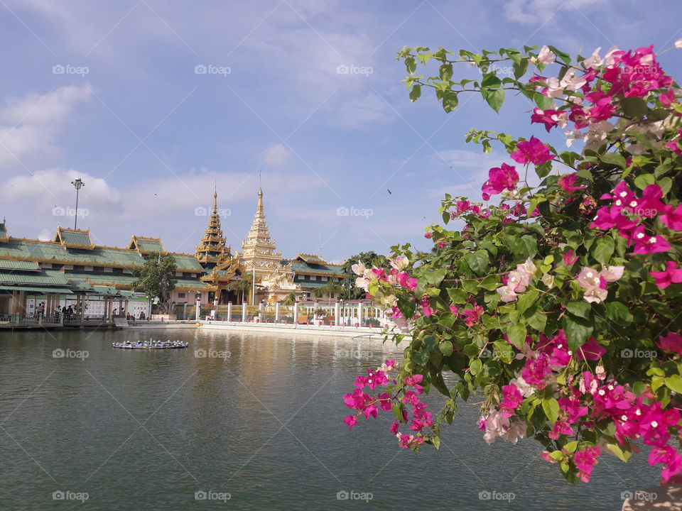 flowers and pagoda