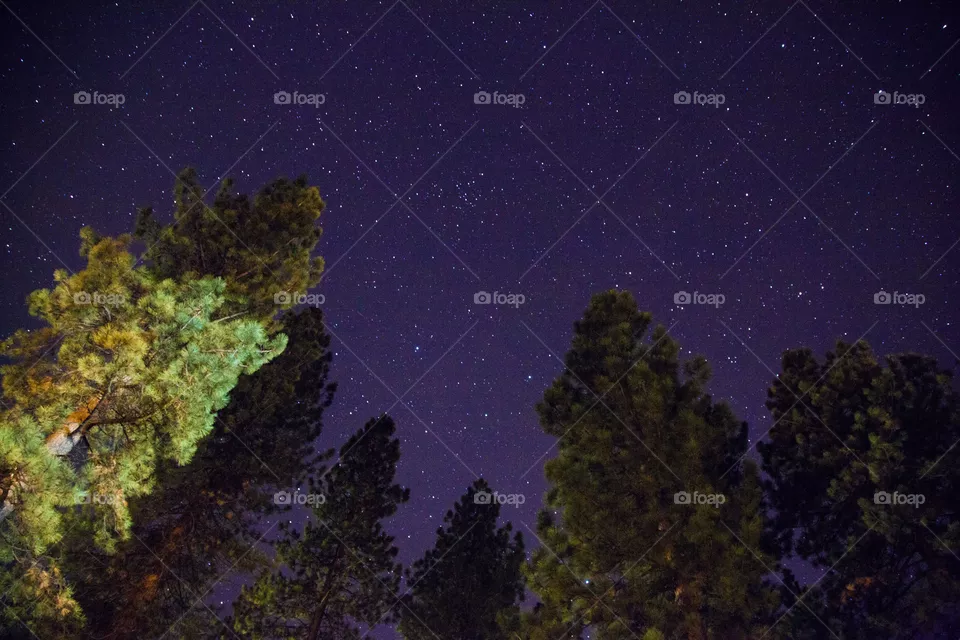 Late night long exposure in Northern California showing many stars 