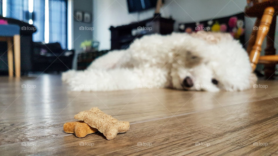 Is anyone looking (1)