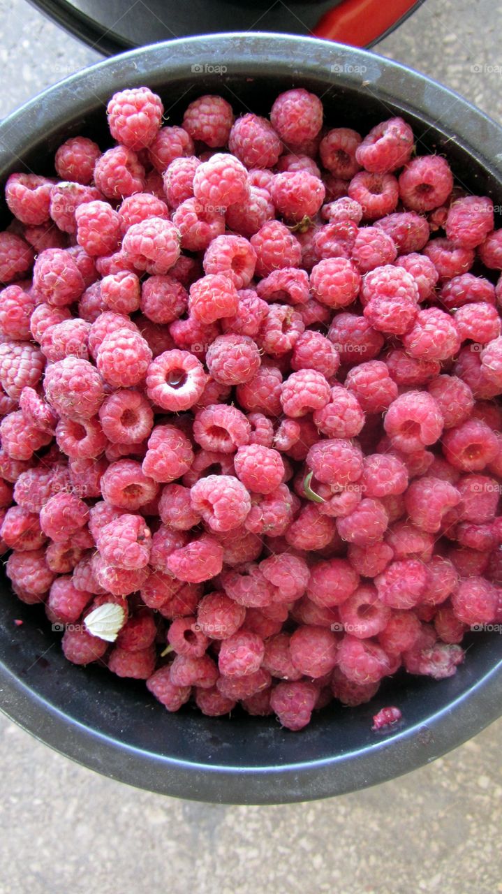 Bucket of raspberries