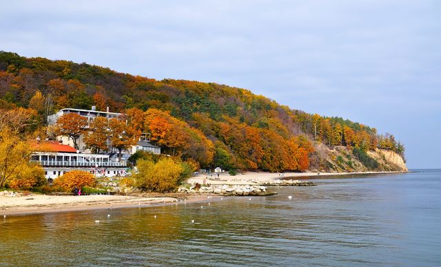Autumn trees on cliff in gdynia, poland