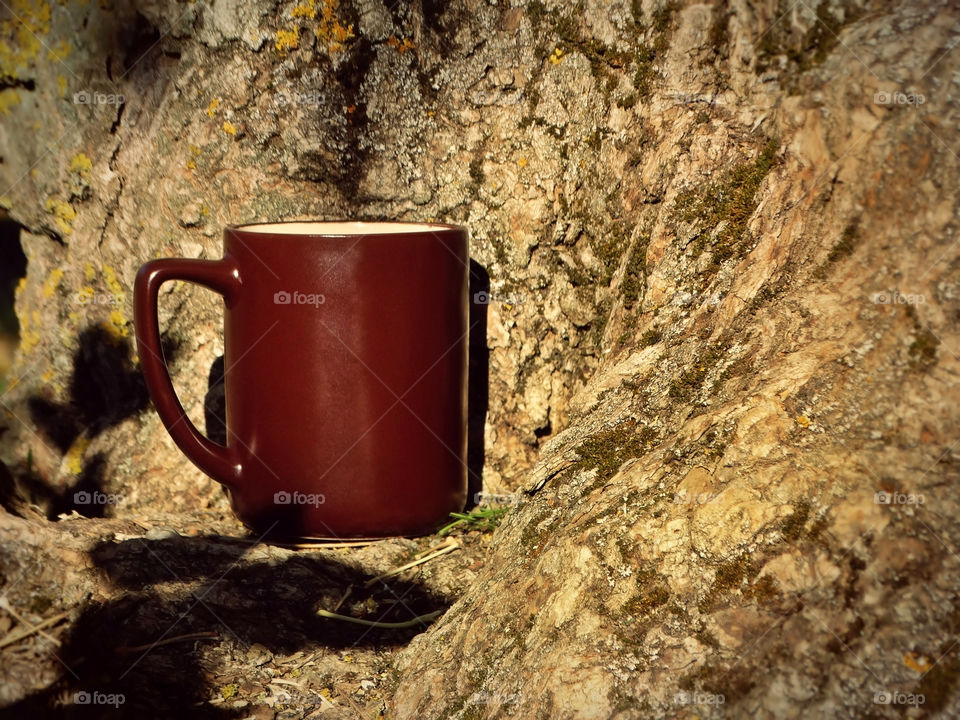 Autumn coffee time in the forest