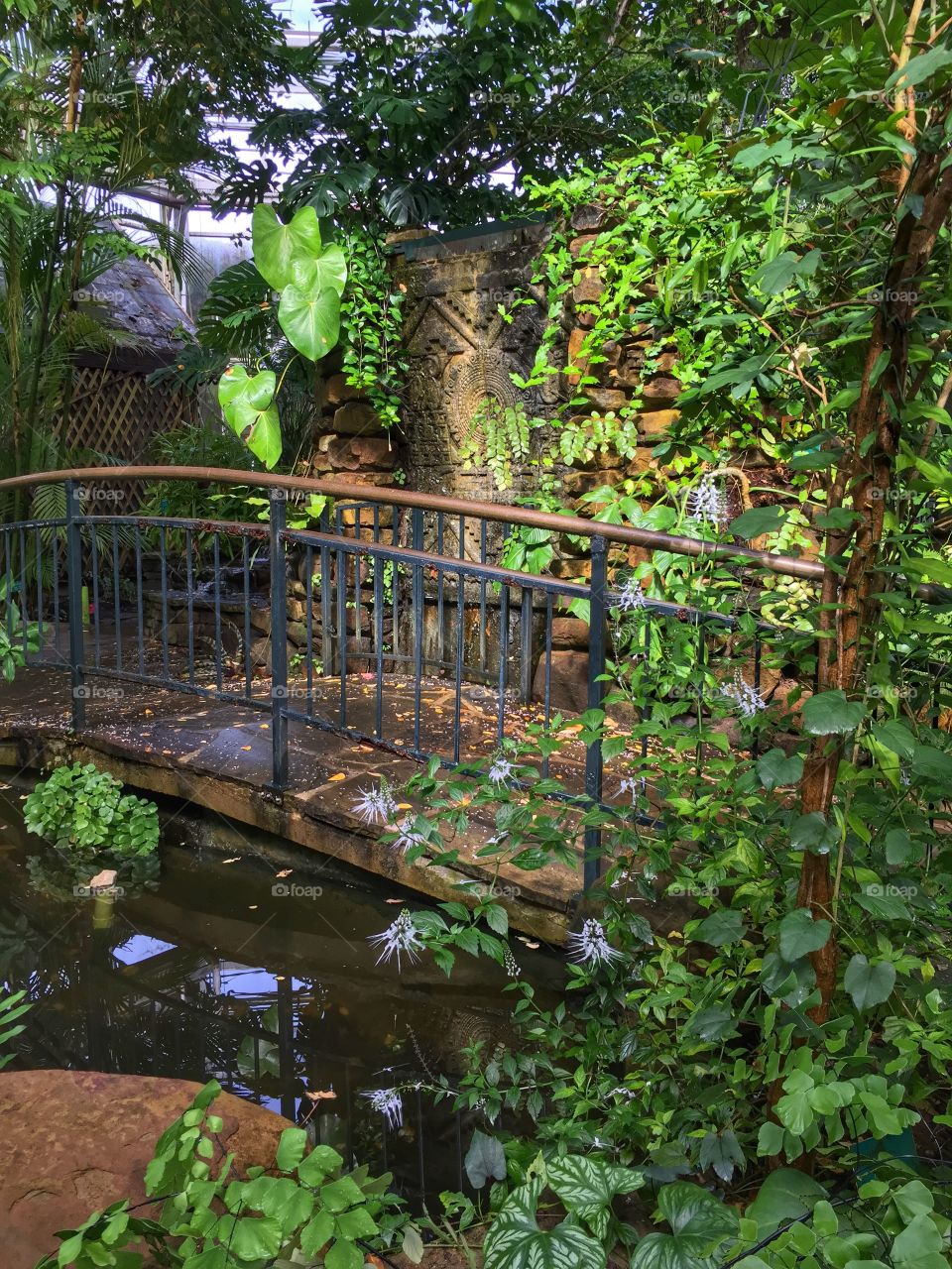 View of bridge over pond in forest