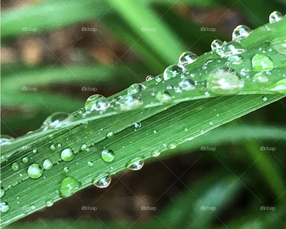 Beaded green