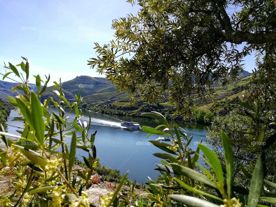 Douro river