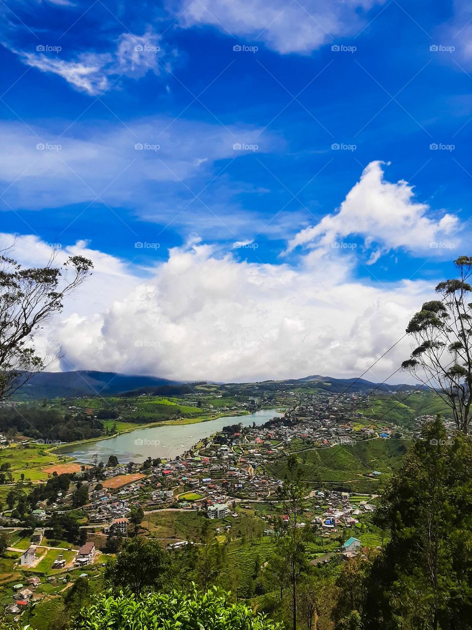 nuwara eliya sri lanka
