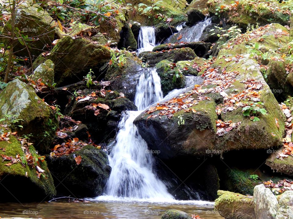 small waterfall in South Carolina's Sumter national forest