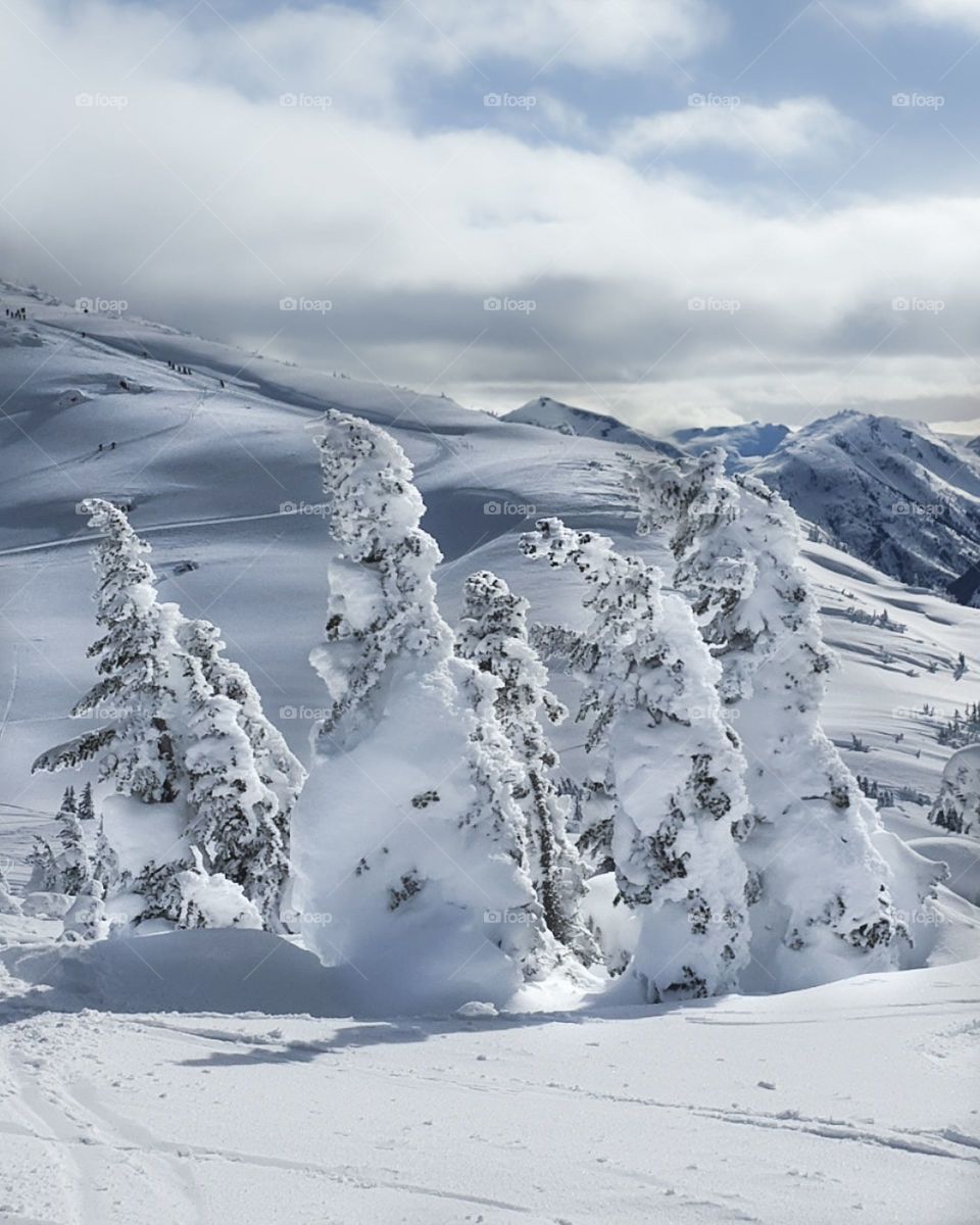 Winter Wonderland in BC
