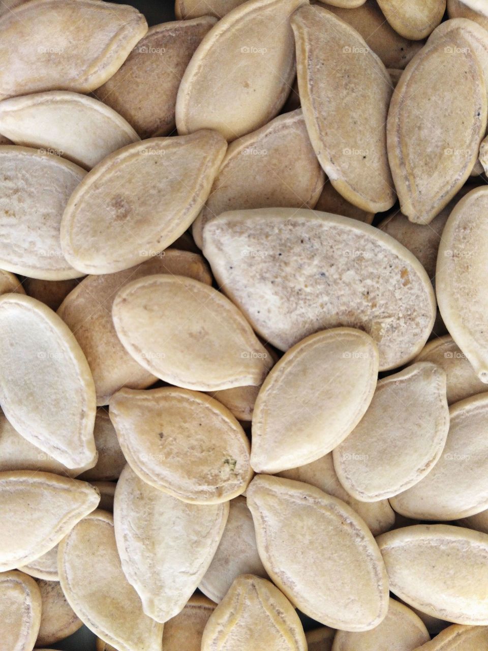 pumpkin seeds