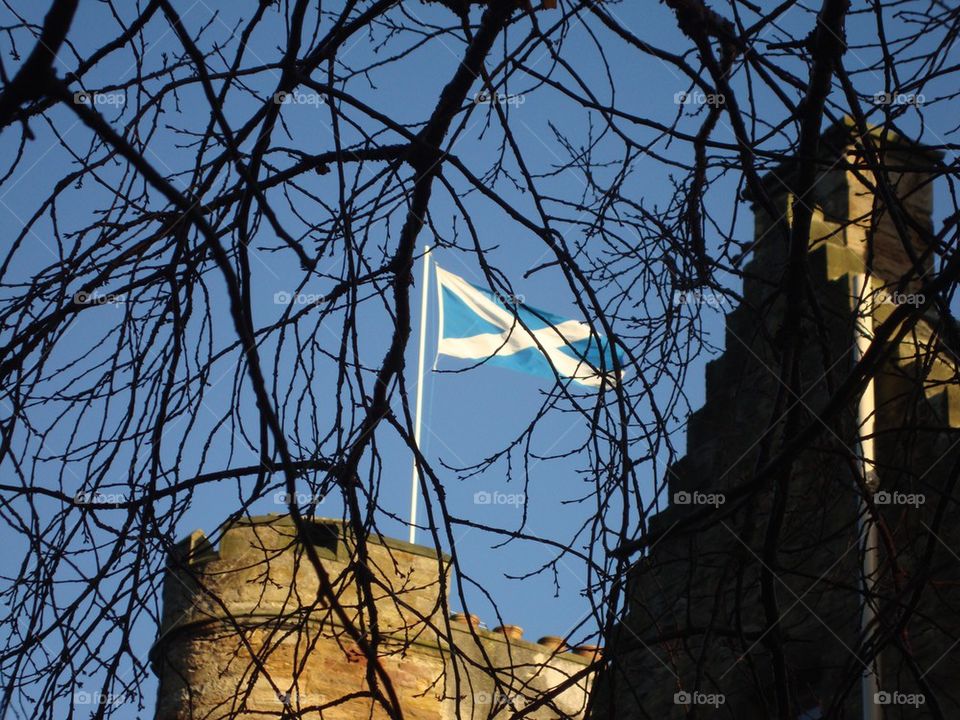 Scottish Flag