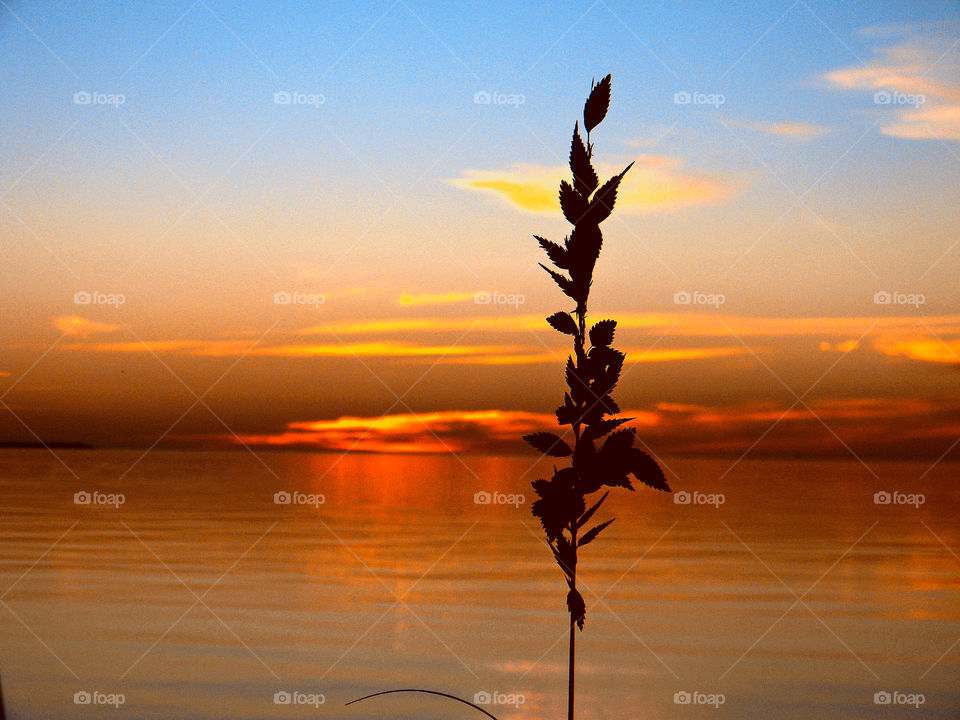 When the sun sets it creates blazing colors of pink, orange,burning reds purples, and golden yellows. One can only describe the sunset as incredibly beautiful.