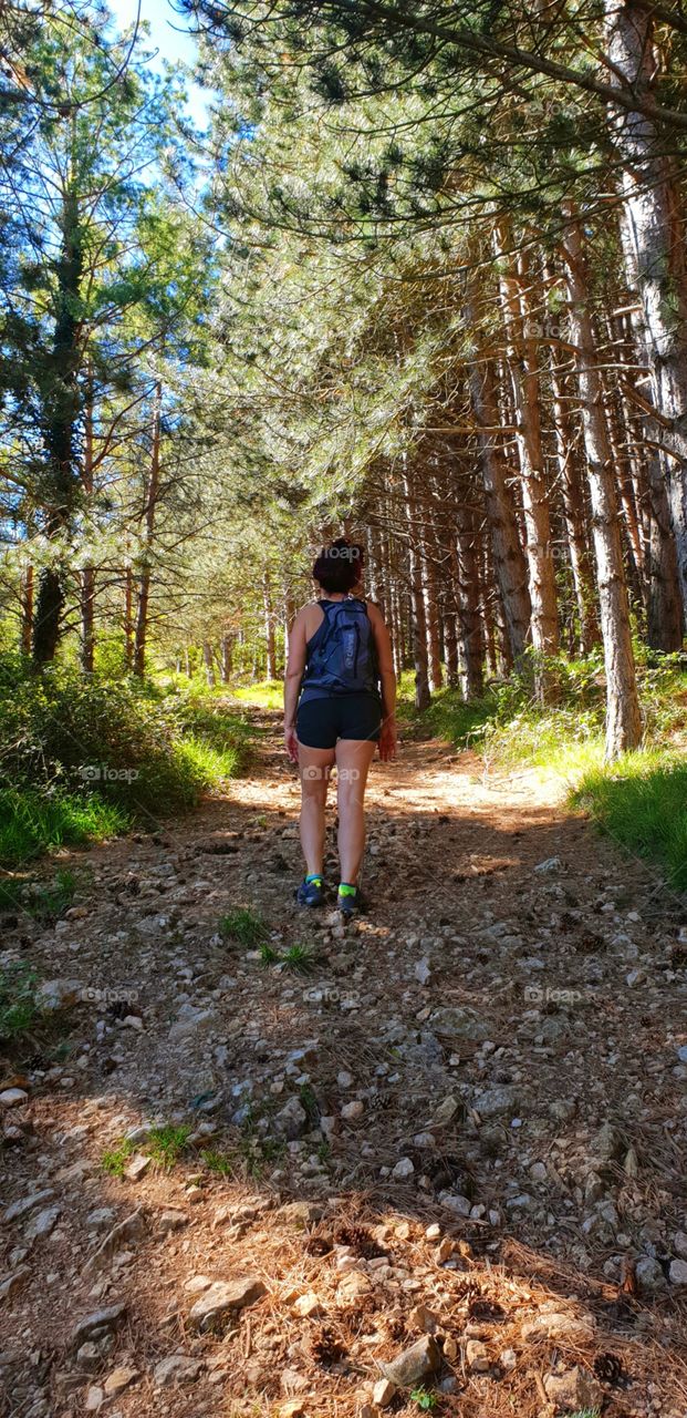 caminata por montaña