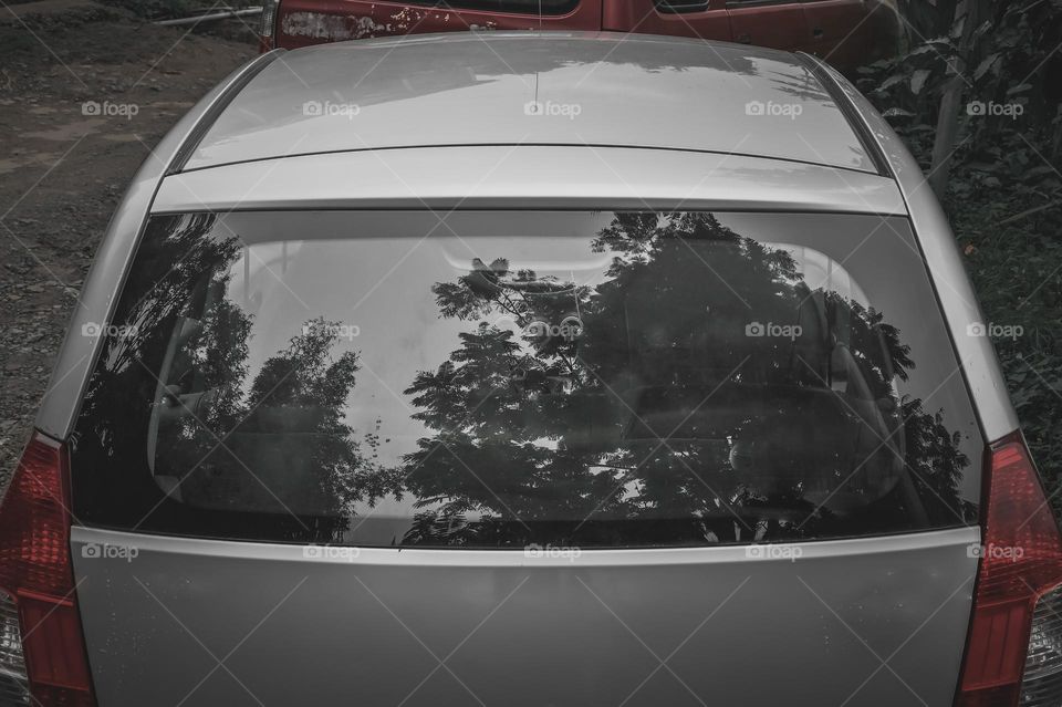 Rear exterior shot of a car