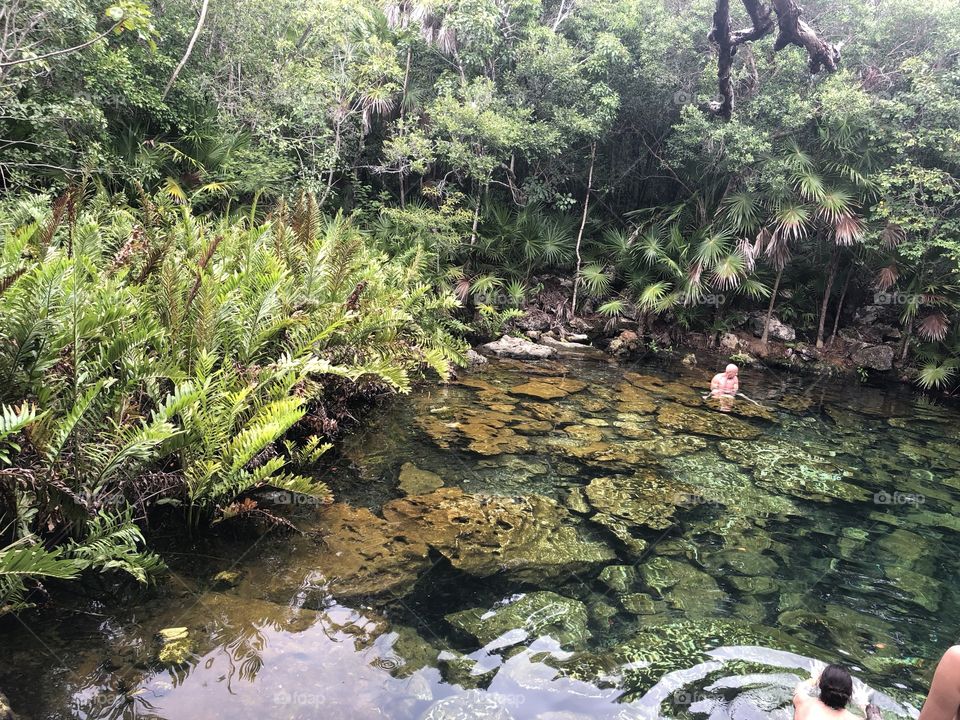 Cenote of the caleta Tankah mexico 