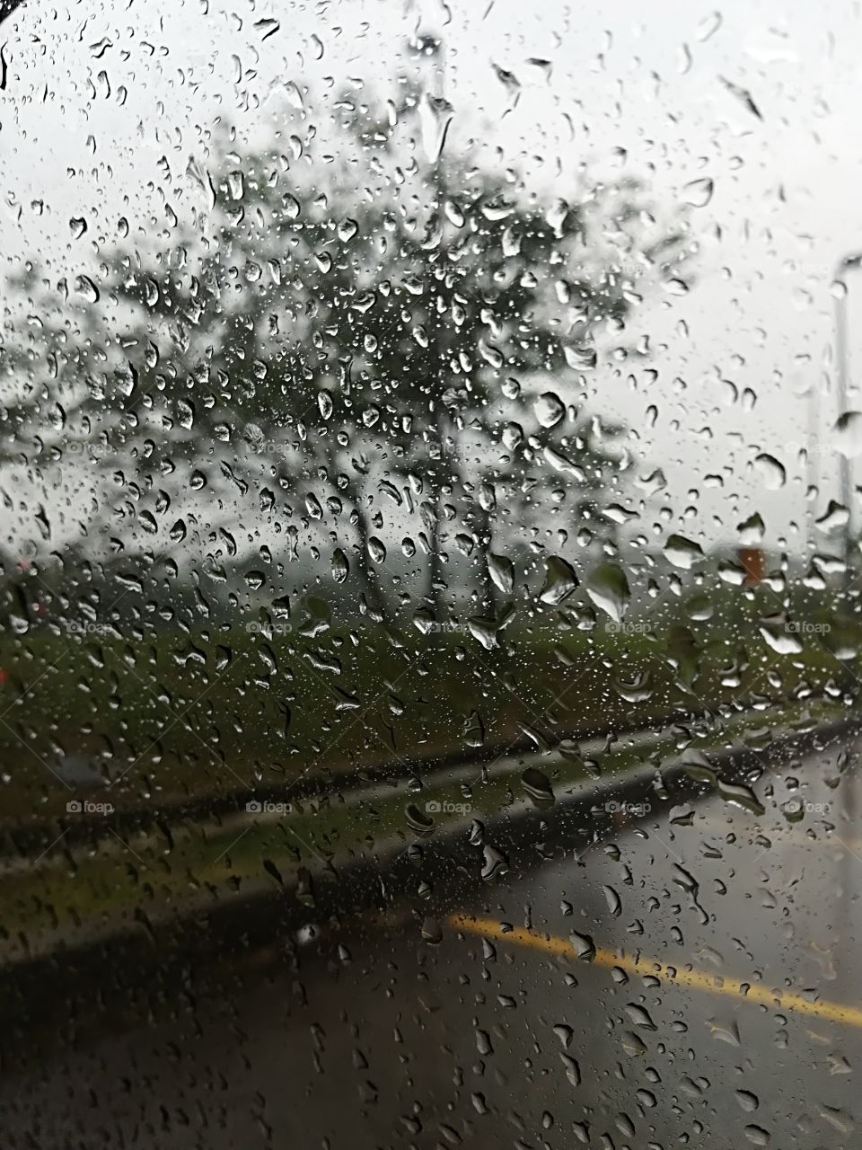 rain outside my window
