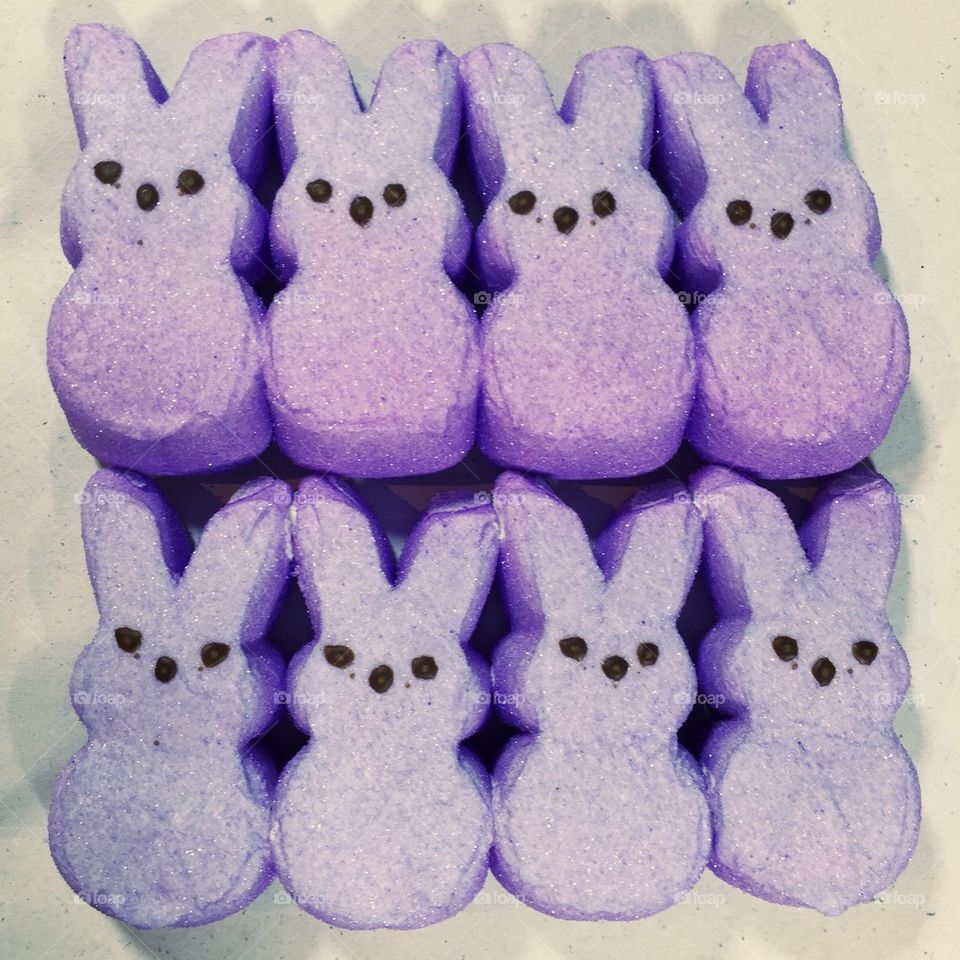 Purple Bunnies