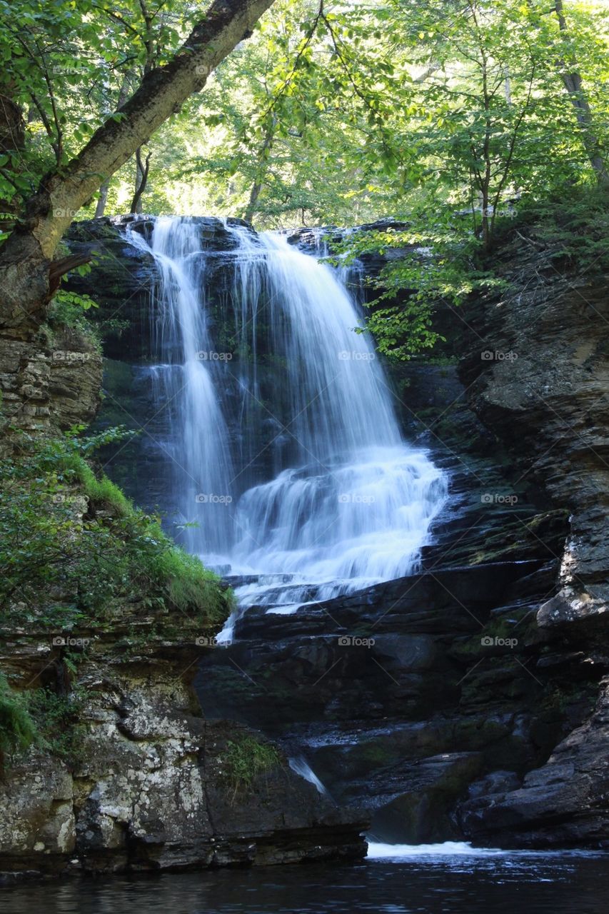 Water falls