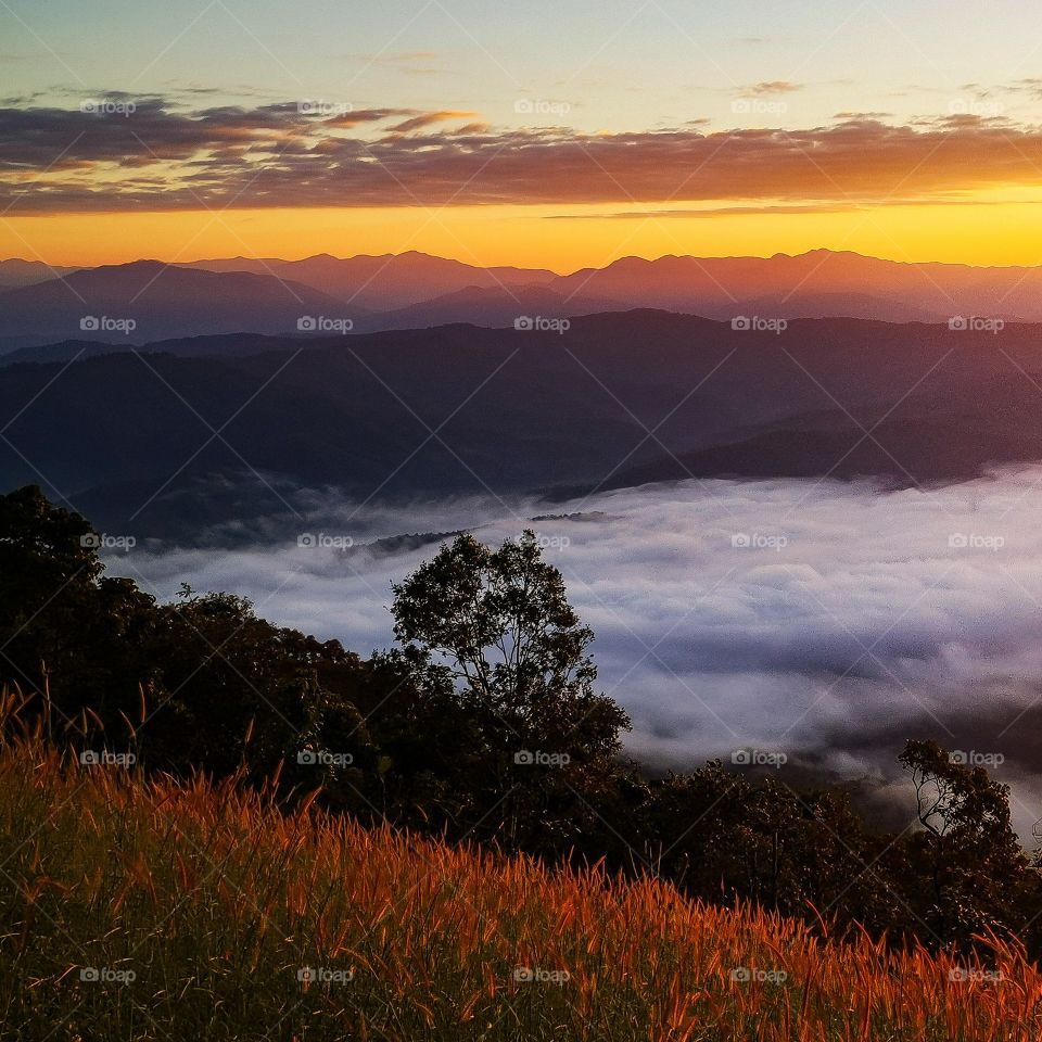 Fog creeps up the valley just below the mountains at sunrise in Nan, Thailand. It was absolutely spectacular!