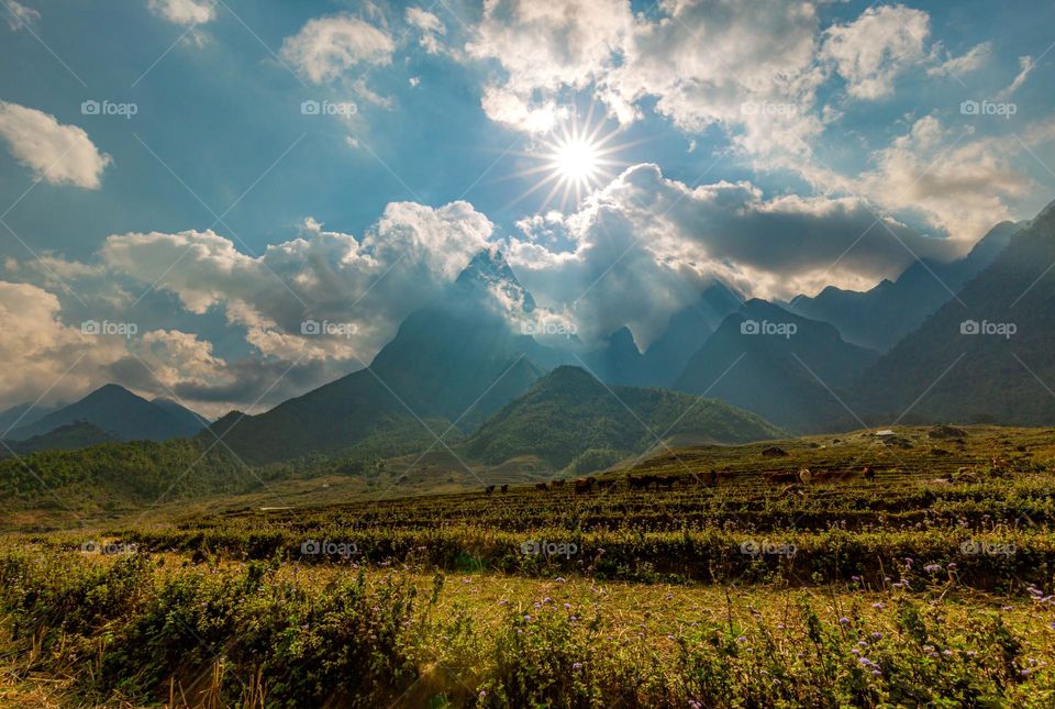 Chu Va mountain Peak 
Chu Va is the famous mountain Peak in Tam Duong, Lai Chau province,  Vietnam