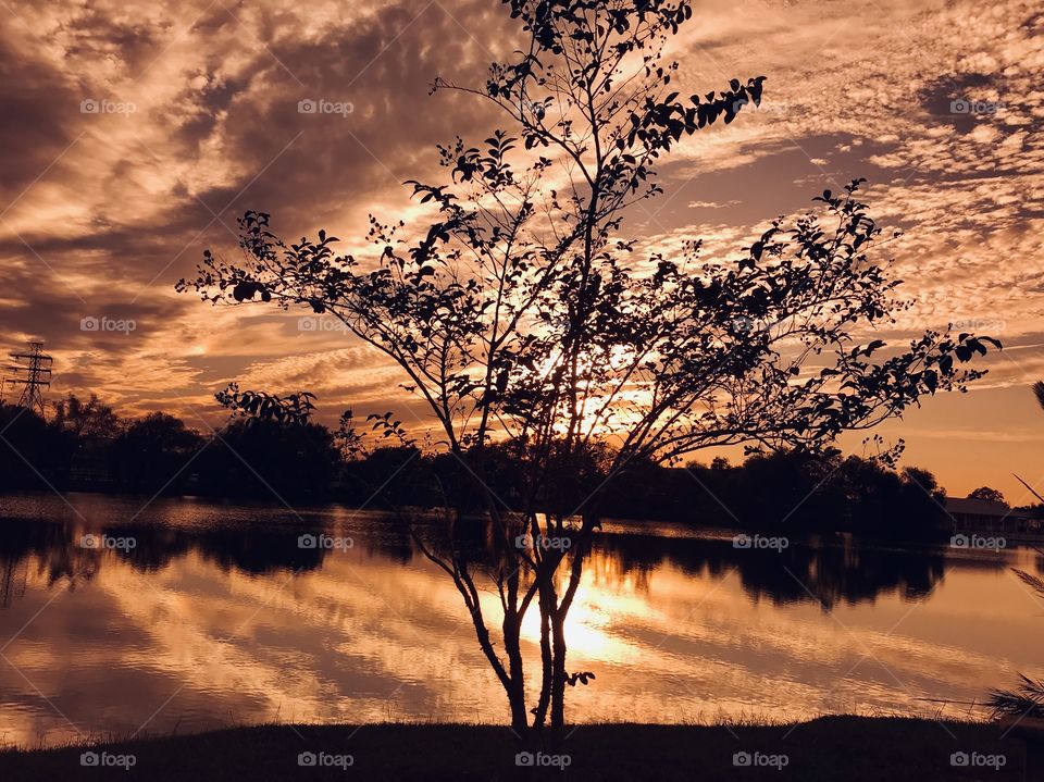 This photo was taken when there was very high broken puff clouds. Low hanging clouds mixing with colours of a absolutely gorgeous sunset enormous hues, reflections, on the lake waters, silhouette, enormous composure 