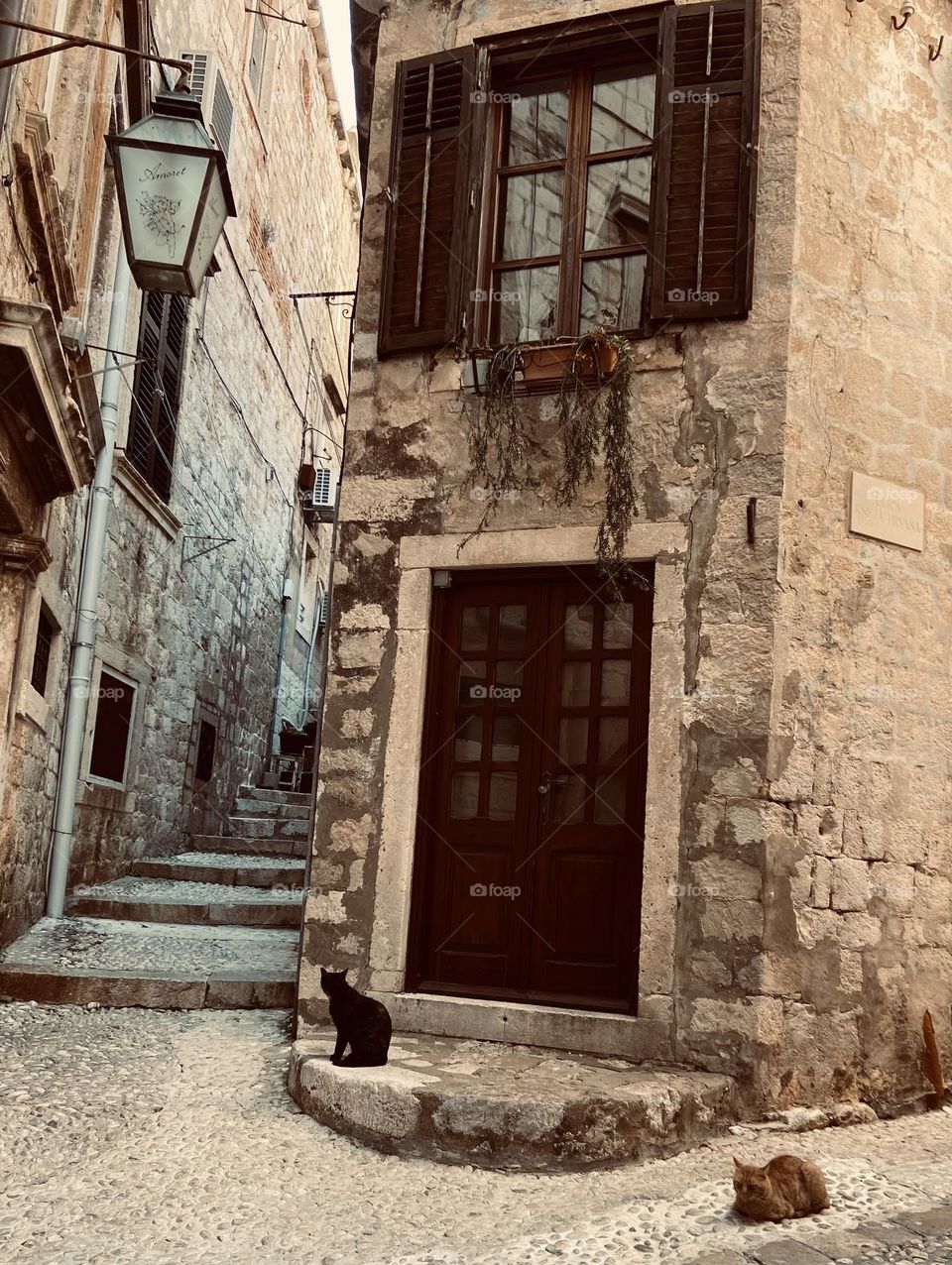Two cats relaxing in front of of a stone house in Old World Europe.