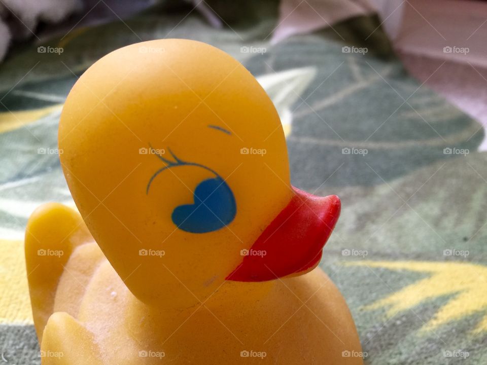 My duck