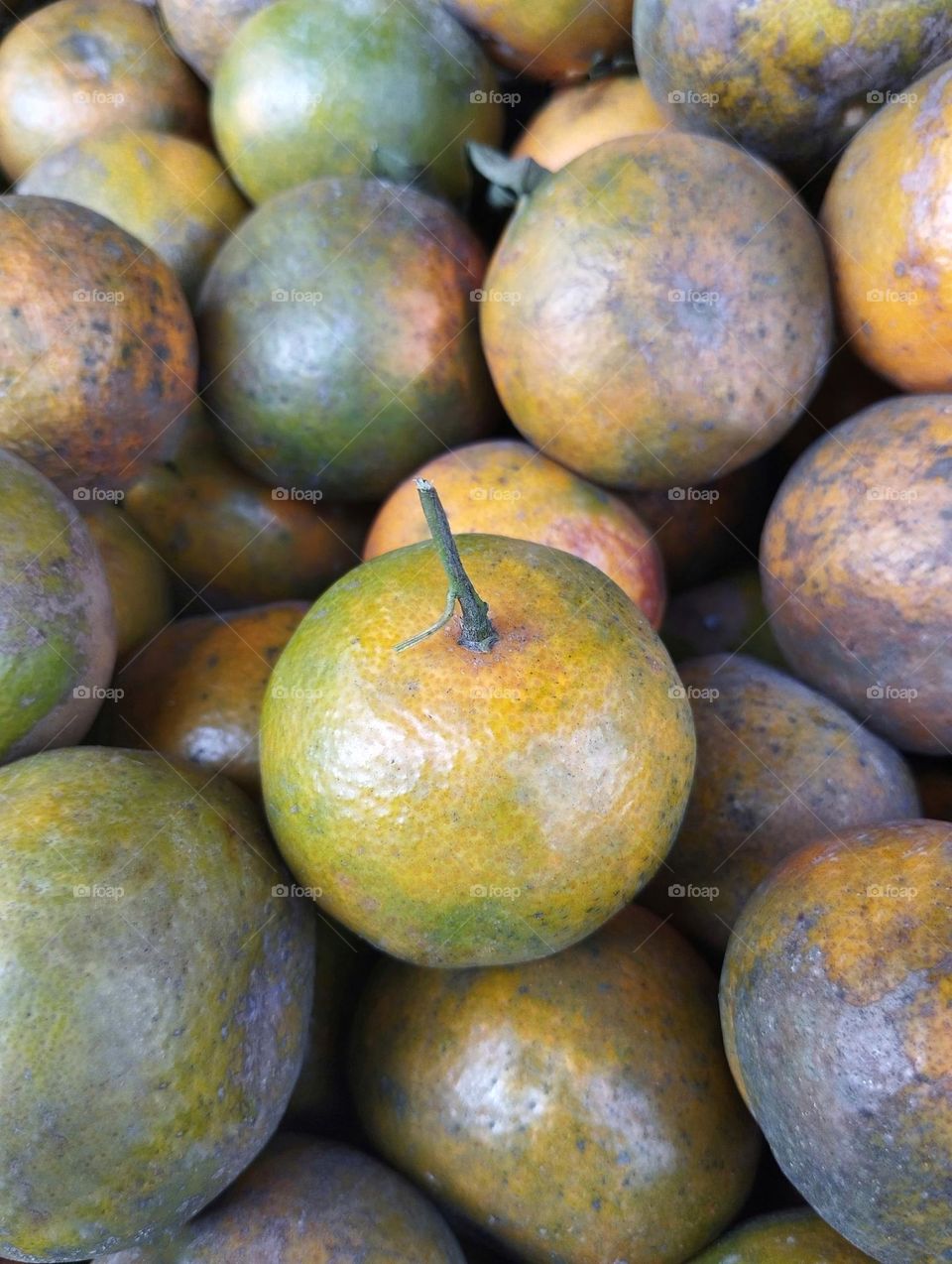 Fresh orange fruits on the market