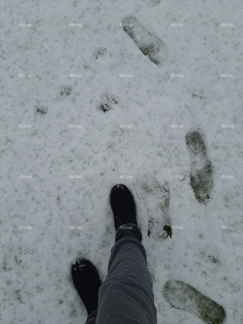 Walk in snow