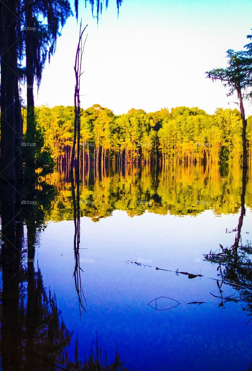 Lake reflection 