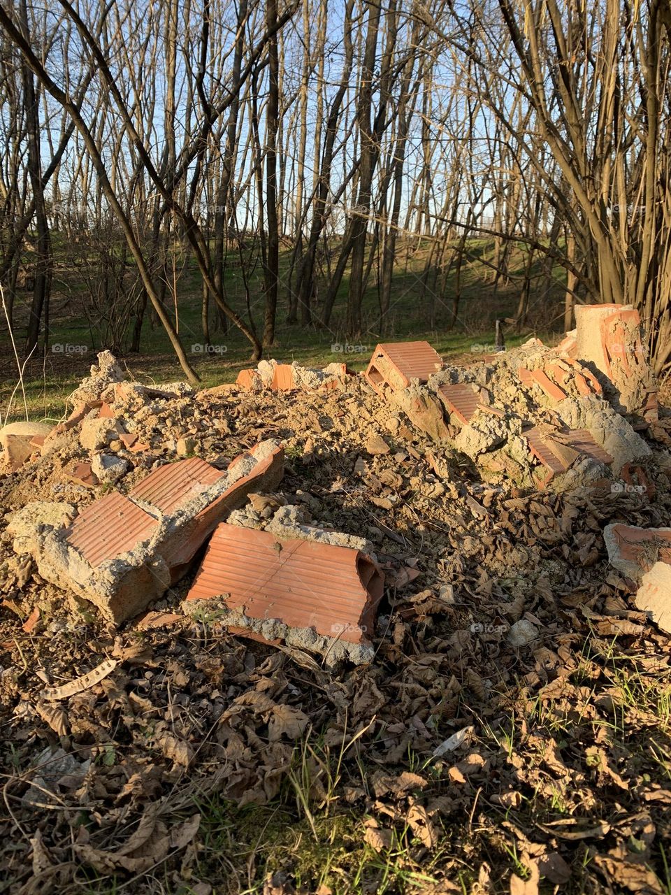 Walking in the Italian woods it is common to come across piles of rubbish or bricks left illegally so as not to pay for correct disposal. 