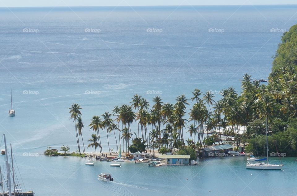 Palm tree peninsula