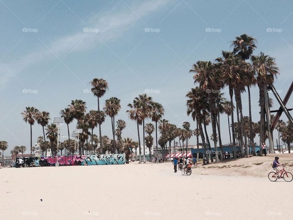 Venice Beach, CA