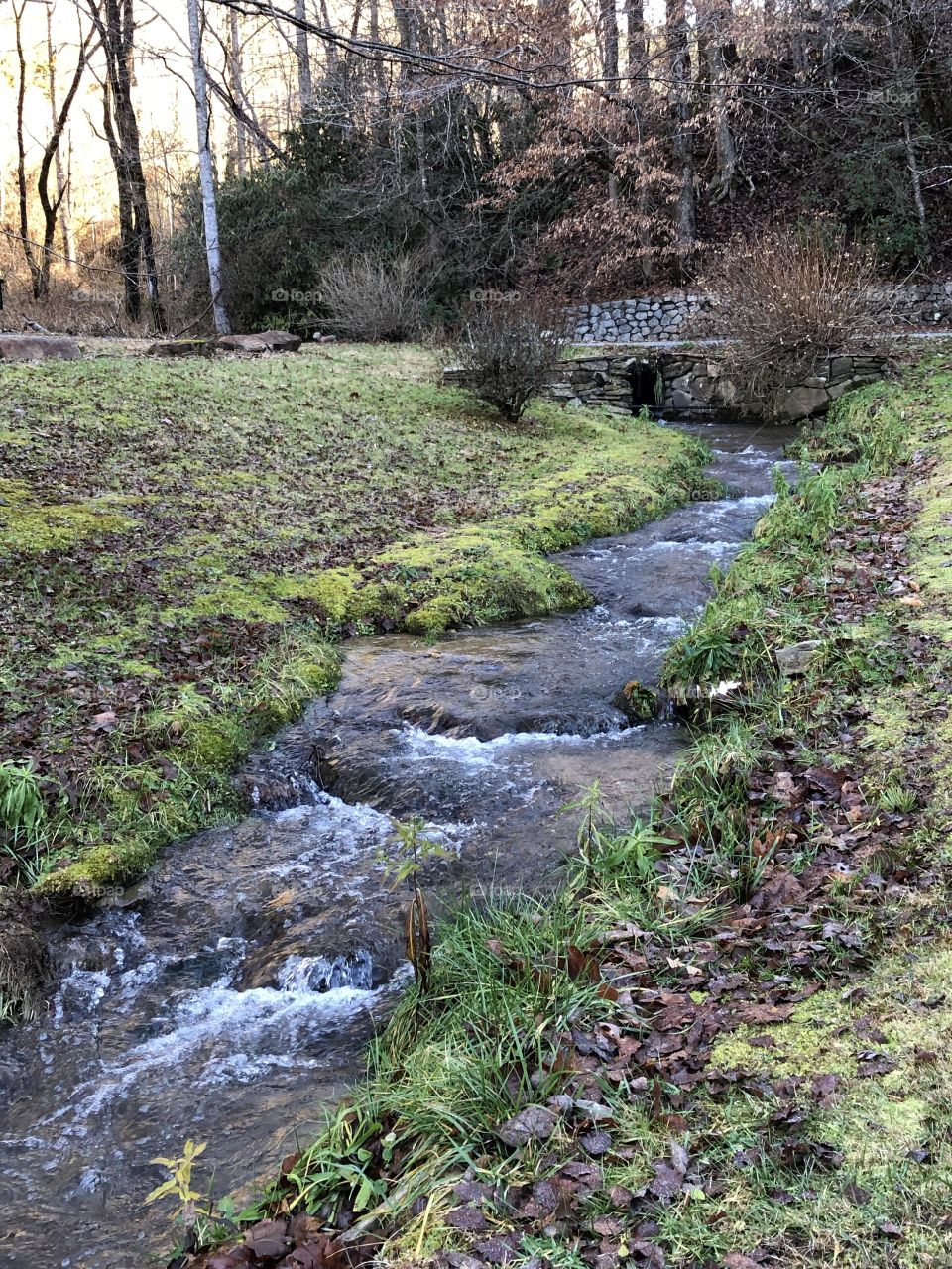 Small waterfall levels following down a clear mountain stream, carving through a North Georgia yard.