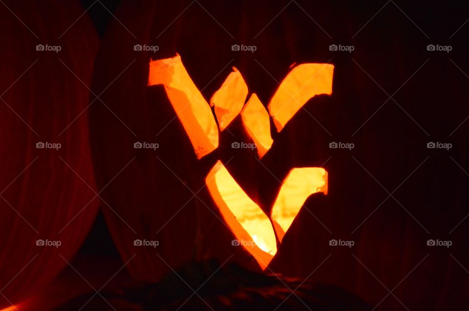 West Virginia University. ⚾️🏀🏈