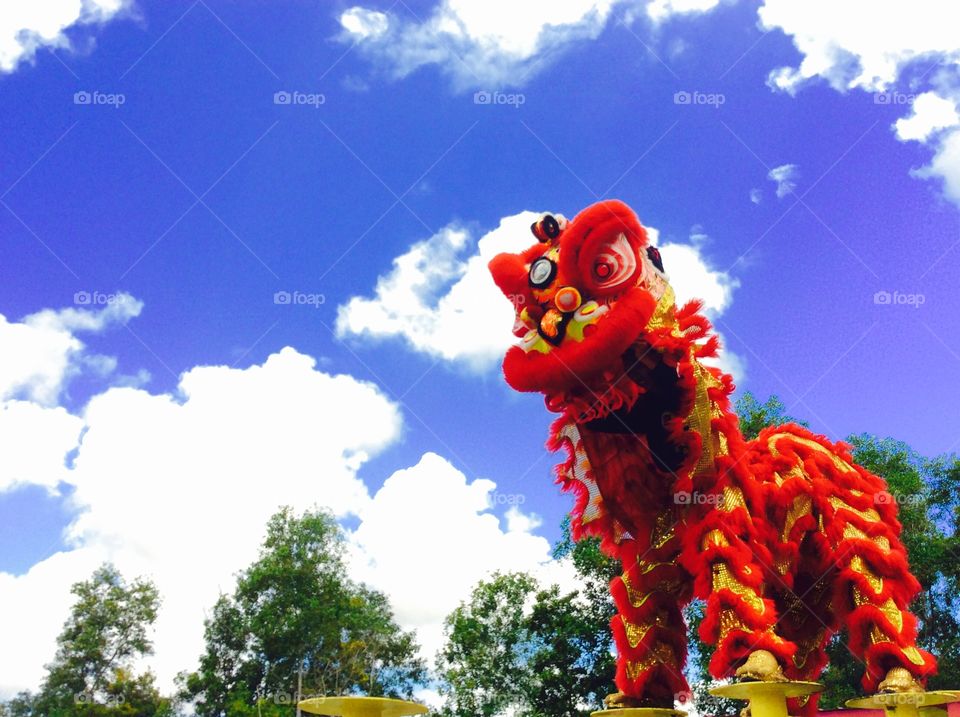 Lion dance. Chinese lunar new year 2015 at Sandakan Sabah Malaysia