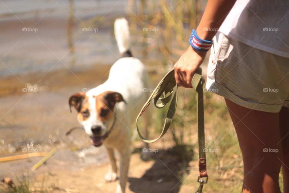 Outdoors, Dog, One, Mammal, People