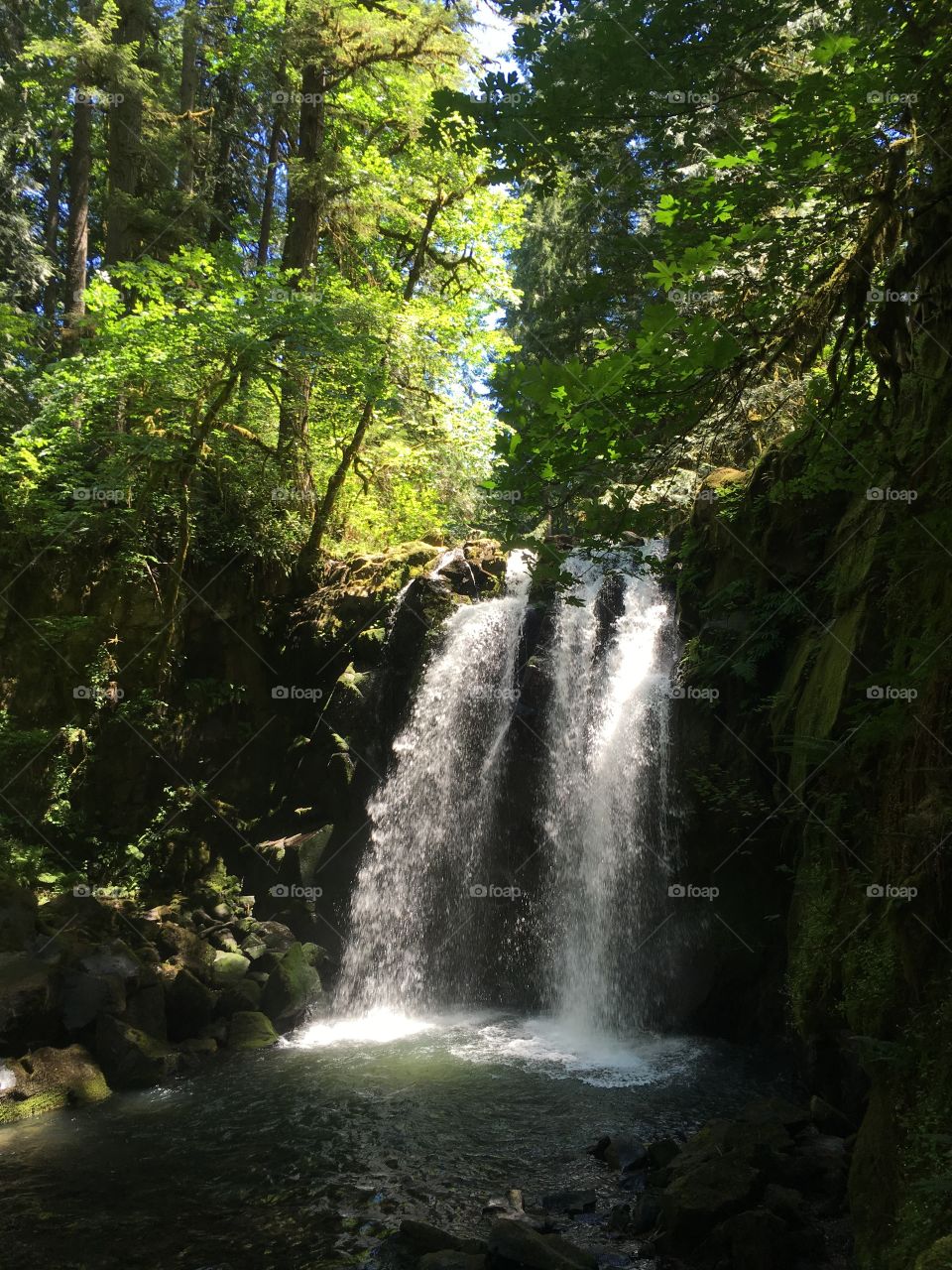 Waterfall in Oregon 