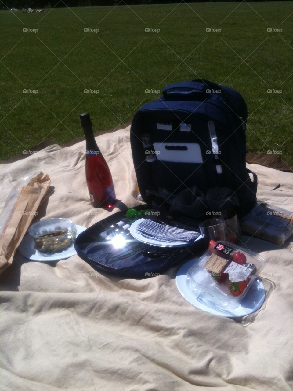 Picnic