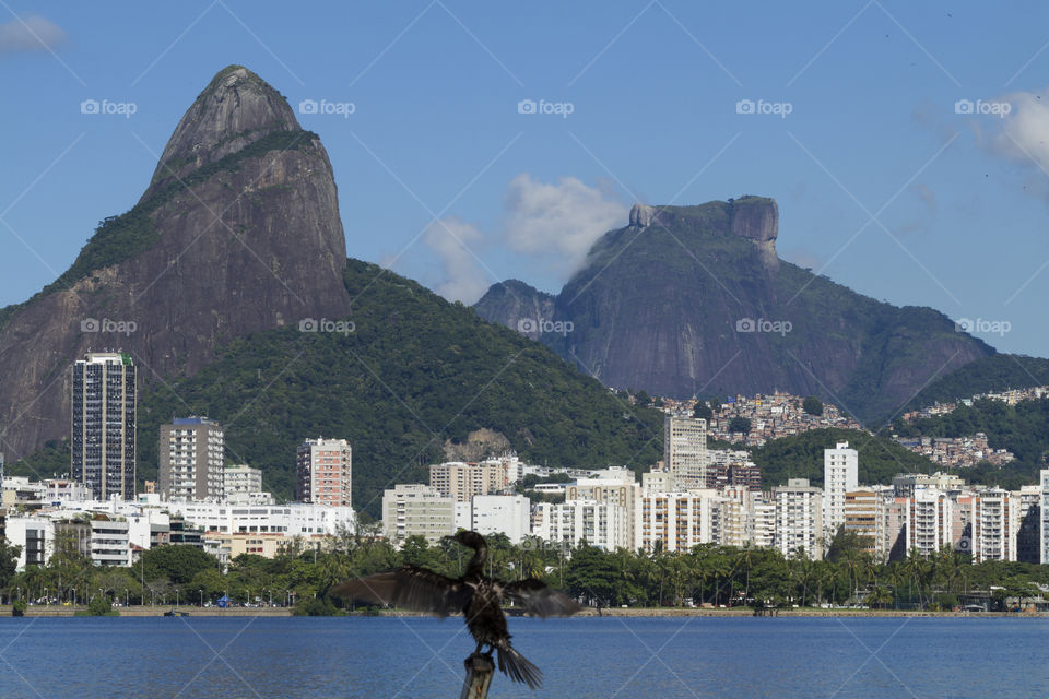 Rodrigo de Freitas Lagoon in Rio de Janeiro Brazil.