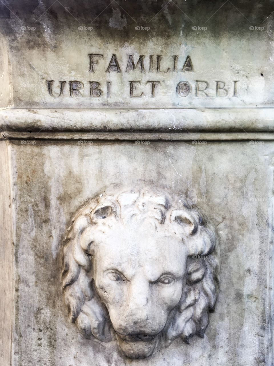 The old decorative elements and inscription in Latin. Cement lion element background. Vintage cement surface of old draw-well. 