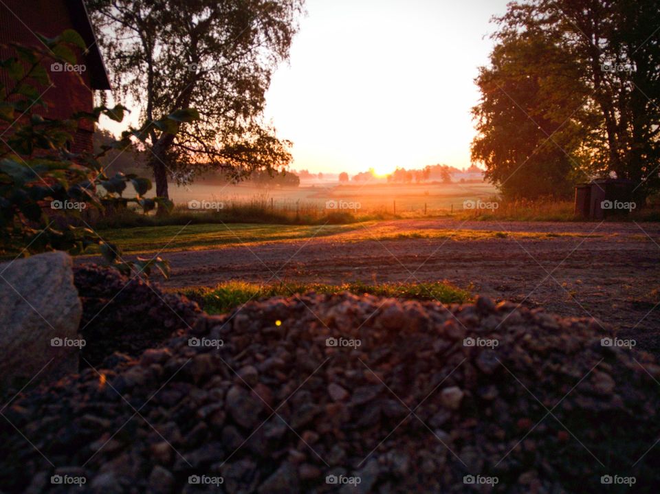 Autumn Sunrise