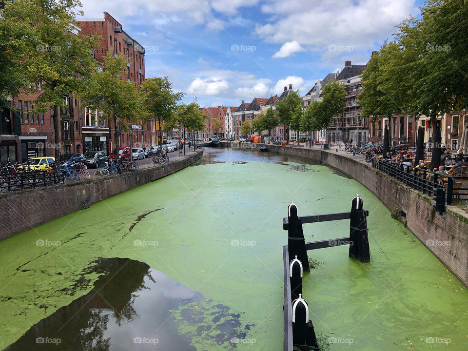 Groningen green canal
