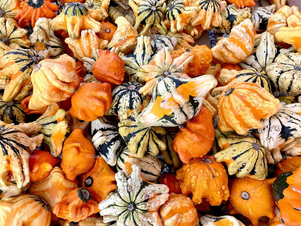 Many colourful squares, top view. Harvest and autumn concept 