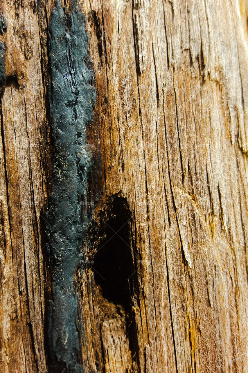A weathered utility pole clinging to the side of the mountain