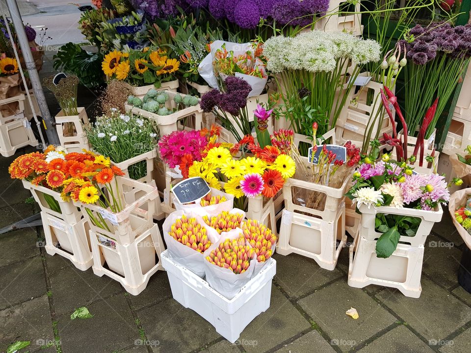 Flower Shop, Amstelpark, Amsterdam, Netherlands